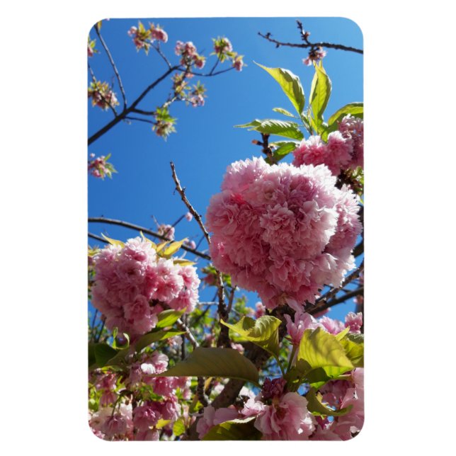 Magnet Flexible Arbre en fleurs rose cerise sauvage (Vertical)