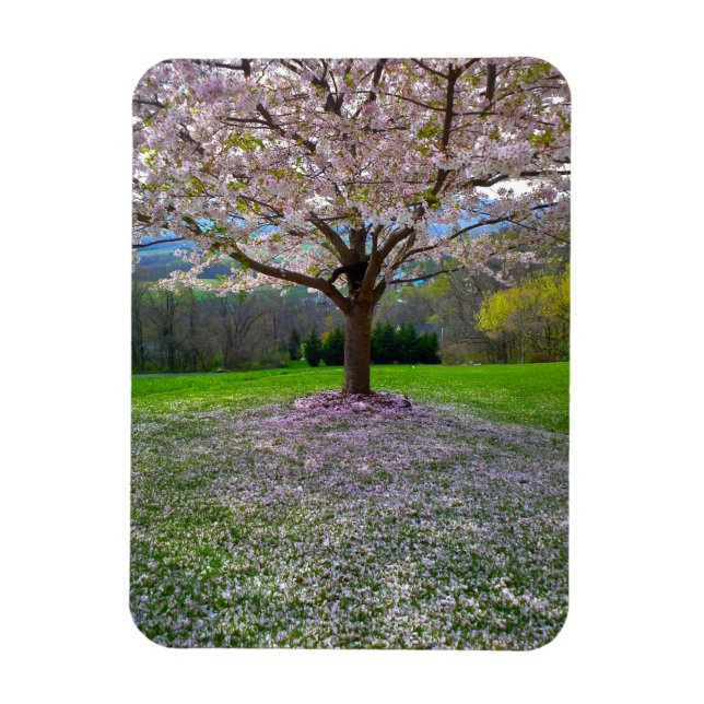 Magnet Flexible Arbre fleuri rose cerisier avec bois (Vertical)