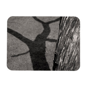 Magnet Flexible Arbre mort
