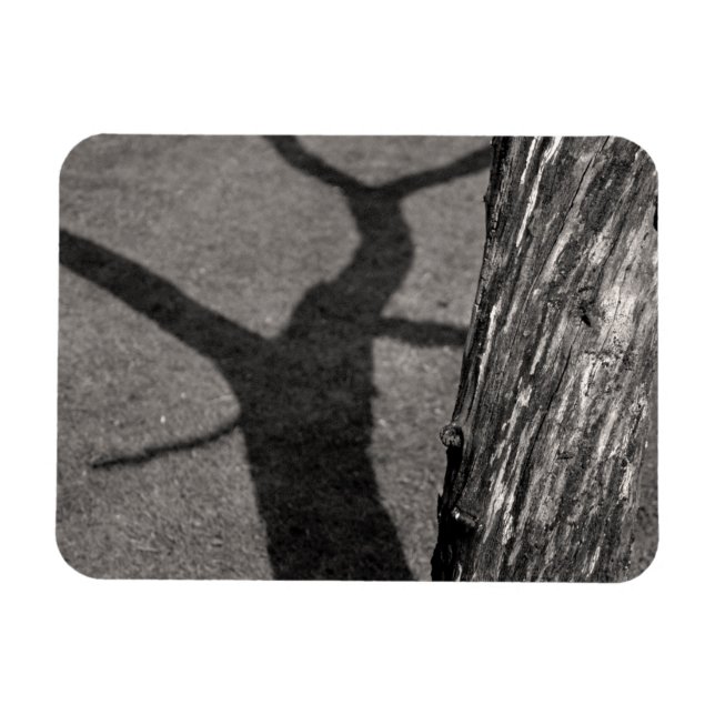 Magnet Flexible Arbre mort (Horizontal)