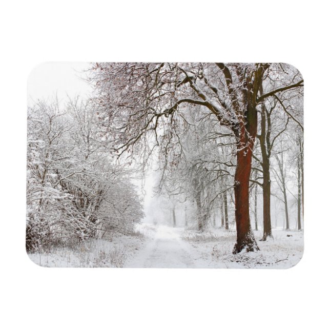 Magnet Flexible Arbre | Parc Stupinigi, Italie (Horizontal)