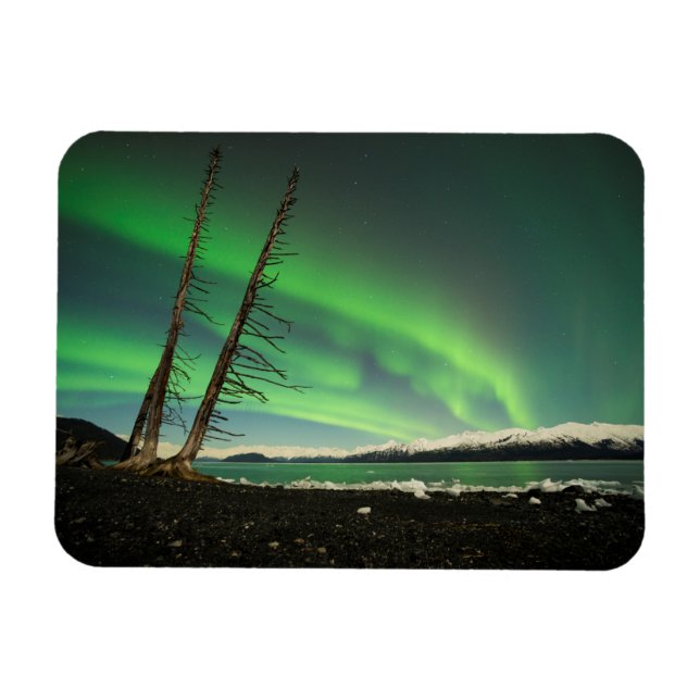 Magnet Flexible Arbre penché Aurora (Horizontal)