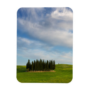 Magnet Flexible Arbres de Cypress dans l'aimant vertical de la