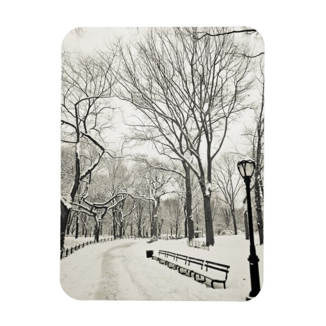 Magnet Flexible Arbres d'hiver couverts de neige (Vertical)