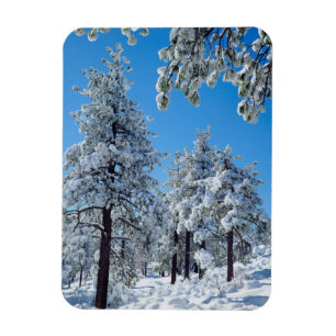 Magnet Flexible Arbres enneigés dans les montagnes de Laguna