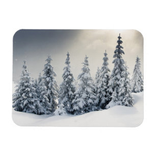 Magnet Flexible Arbres Recouverts De Hoarfrost Et De Neige