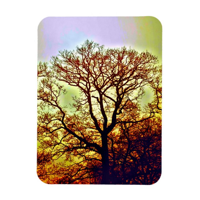MAGNET FLEXIBLE ARBRES SOLEIL BRUMEUX (Vertical)