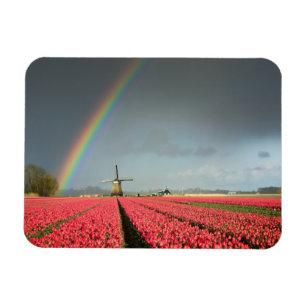 Magnet Flexible Arc-en-ciel, tulipes et aimant rectangulaire de
