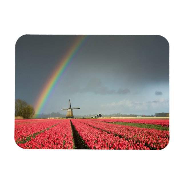 Magnet Flexible Arc en ciel, tulipes et aimant rectangulaire mouli (Horizontal)