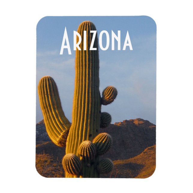 Magnet Flexible Arizona Sunlit Saguaro (Vertical)