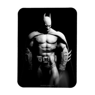 Magnet Flexible Arkham City   Batman Black and White Wide Pose