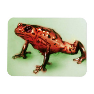 Magnet Flexible Art animal rouge et vert, aimant photo - grenouill