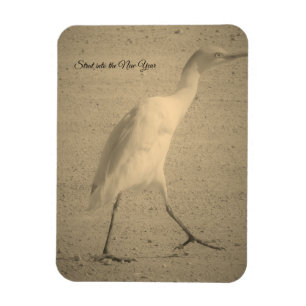 MAGNET FLEXIBLE ART & DESIGN DE STICKER AIMANTÉ