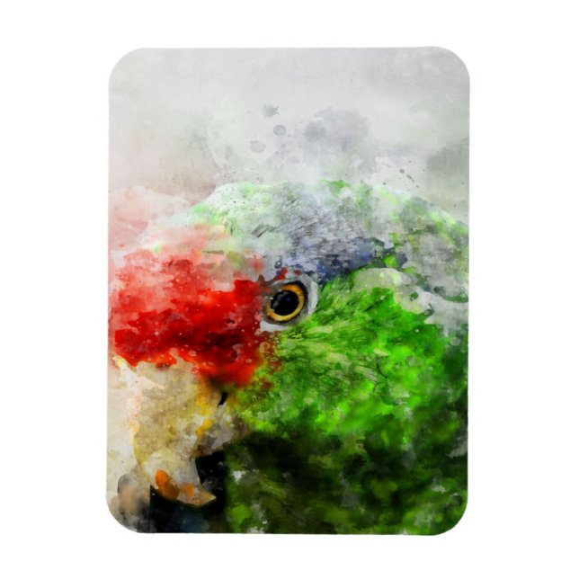 Magnet Flexible Art Watercolor Parrot Green Parakeet Cadeau (Vertical)