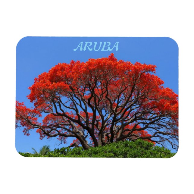 Magnet Flexible Aruba une île heureuse aimant (Horizontal)