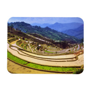 Magnet Flexible Asie, Chine, province du Yunnan, comté de Yuanyang