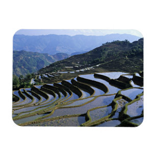 Magnet Flexible Asie, Chine, Yunnan, Yuanyang. Accidenté