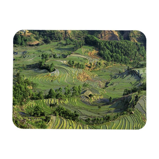 Magnet Flexible Asie, Chine, Yunnan, Yuanyang. Motif de vert 2 (Horizontal)