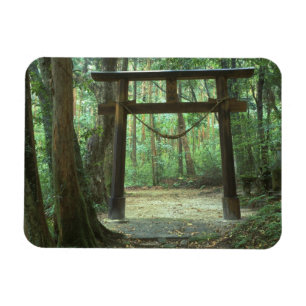 Magnet Flexible Asie, Japon, Kagoshima, Yakushima, Montagne
