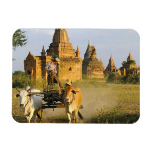 Magnet Flexible Asie, Myanmar (Birmanie), Bagan (Pagan). Un chario