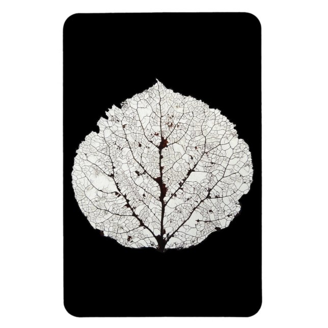 Magnet Flexible Aspen Feuille Squelette 1 (Vertical)