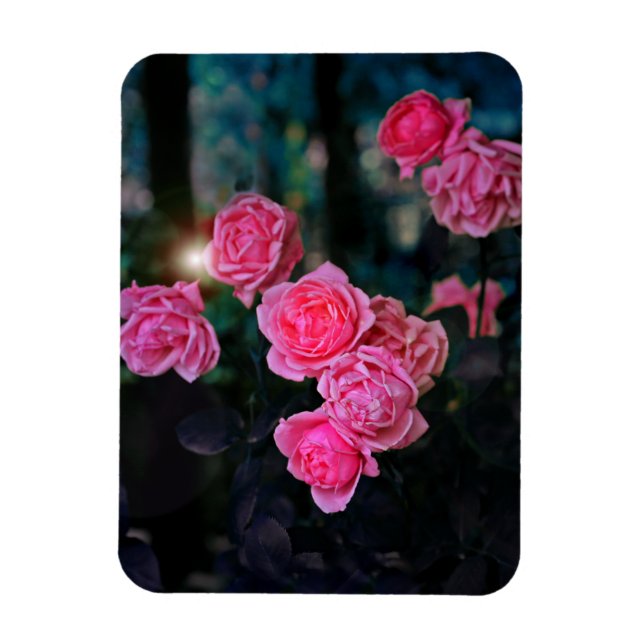 Magnet Flexible Aspirer un aimant photo flexible (Vertical)