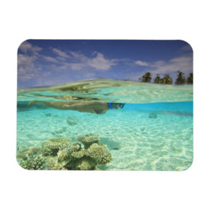Magnet Flexible Atoll South Huvadhoo, Maldives du Sud, Indien