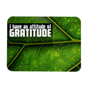 Magnet Flexible "Attitude de gratitude" Motivation Affirmation