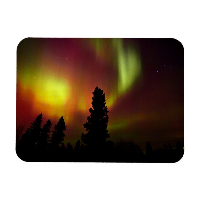 Magnet Flexible Aurora Borealis and Trees (Horizontal)