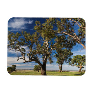 Magnet Flexible Australie, Barossa Valley, Mount Pleasant