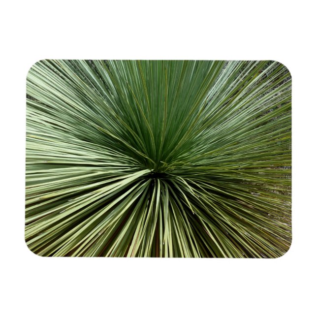 Magnet Flexible Australien Plante - abstrait (Horizontal)