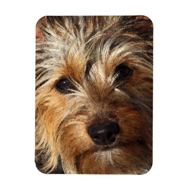 Magnet Flexible Australien Silky Terrier (Vertical)