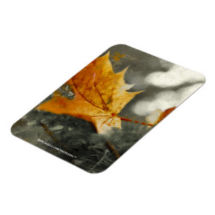 Magnet Flexible Automne