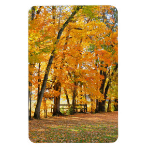 Magnet Flexible Automne dans le parc avec pont piétonnier en bois