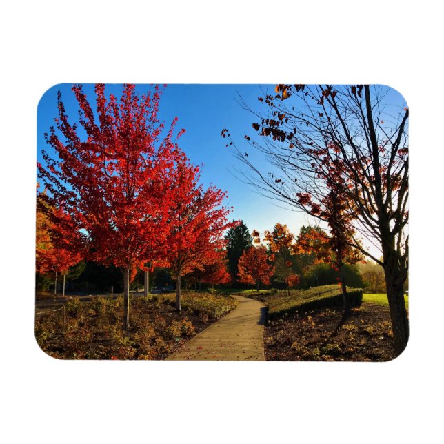 Magnet Flexible Automne dans le parc, Oregon (Horizontal)