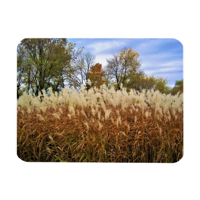 Magnet Flexible Automne dans le Wisconsin (Horizontal)