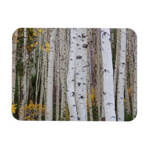 Magnet Flexible Automne dans les Trembles
