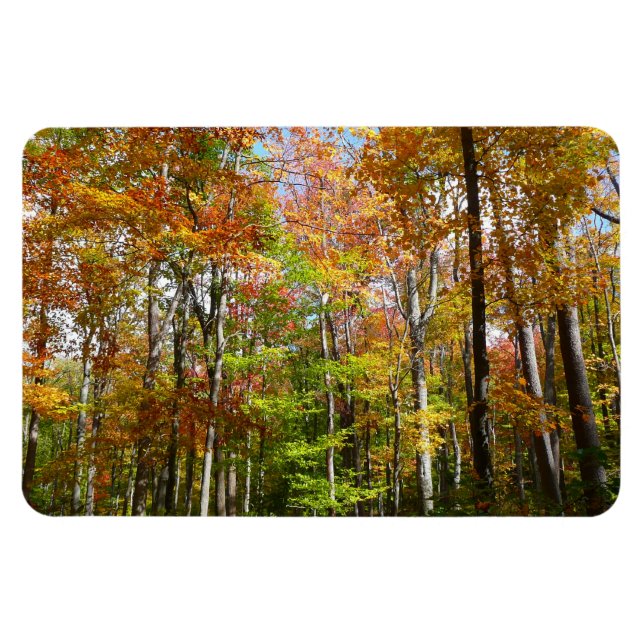 Magnet Flexible Automne Forêt II Automne Paysage Photographie (Horizontal)