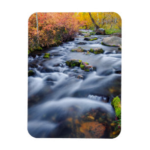 Magnet Flexible Automne le long du ruisseau Lundy, Californie