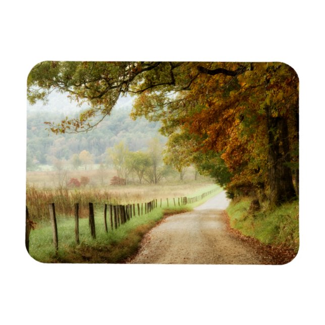 Magnet Flexible Automne sur une route de campagne (Horizontal)