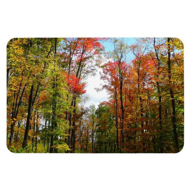Magnet Flexible Automnes Arbres et Ciel bleu Automne Photographie  (Horizontal)