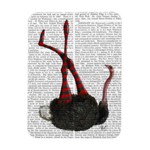 Magnet Flexible Autruche avec les guêtres rayées