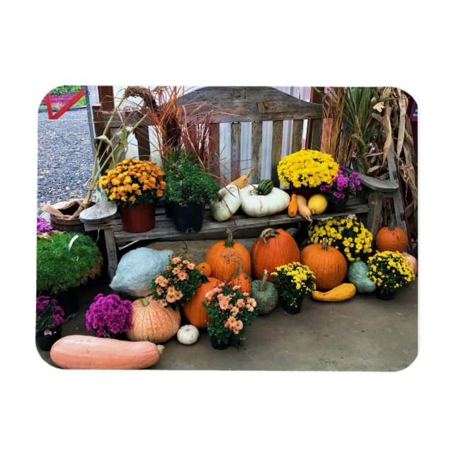 Magnet Flexible Autumn Decor (Horizontal)
