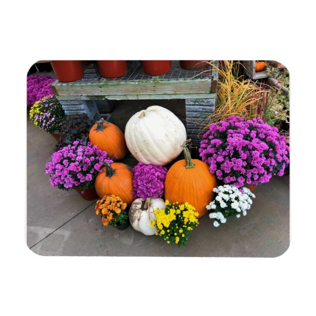 Magnet Flexible Autumn Decor (Horizontal)