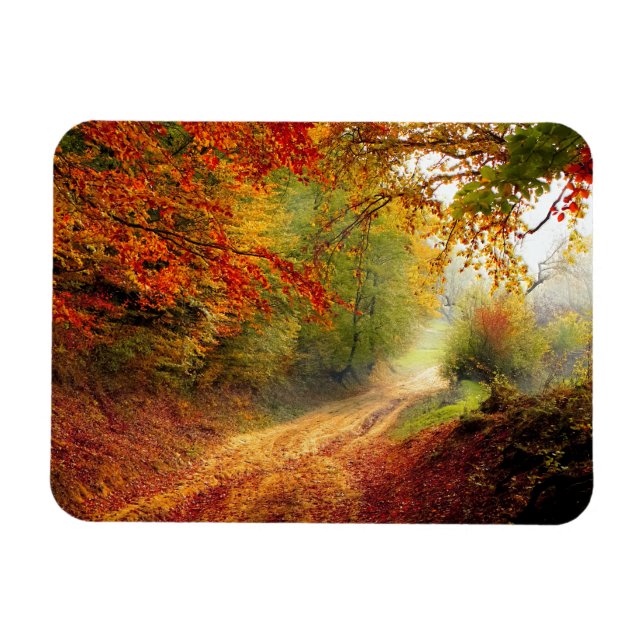 Magnet Flexible Autumn Leaves and Trees Covering Dirt Road (Horizontal)