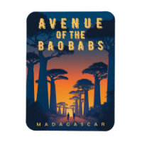 Avenue des Baobabs Madagascar - Afrique rétro