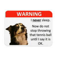 Avertissement de balle de tennis (Collie frontière