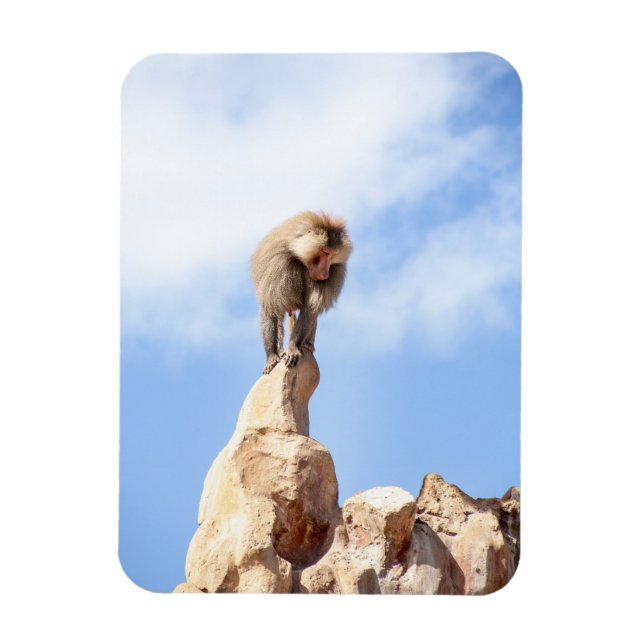 Magnet Flexible Babouin singe au sommet d'une montagne (Vertical)