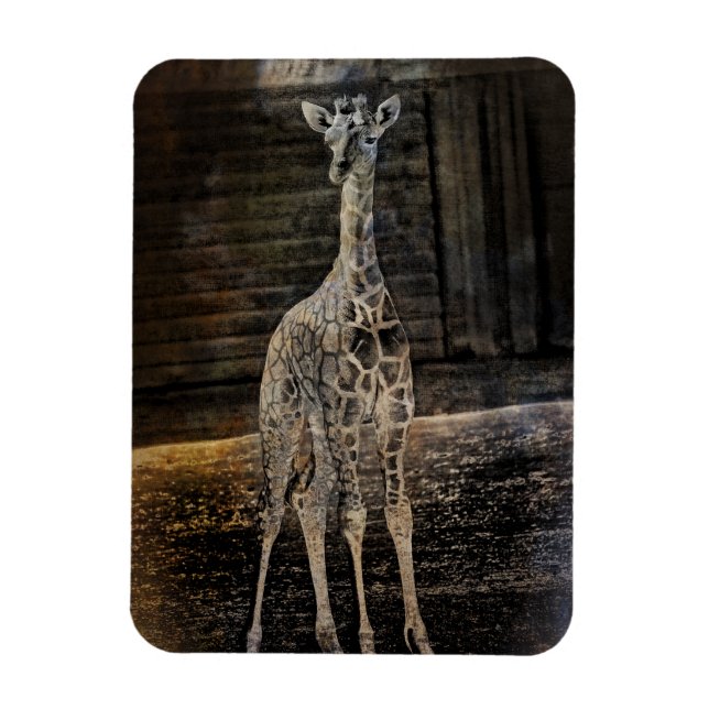 Magnet Flexible Baby Giraffe (Vertical)