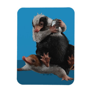 Magnet Flexible Baby Nifflers Find A Prize